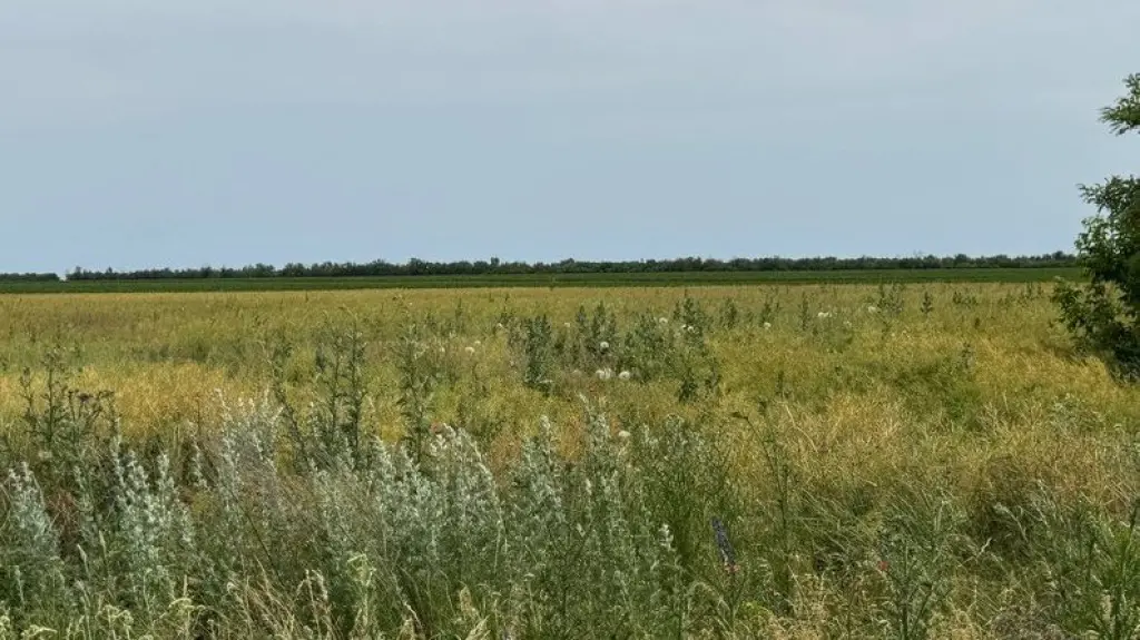 На Кіровоградщині стартує конкурс на розробку родовища літію Добра