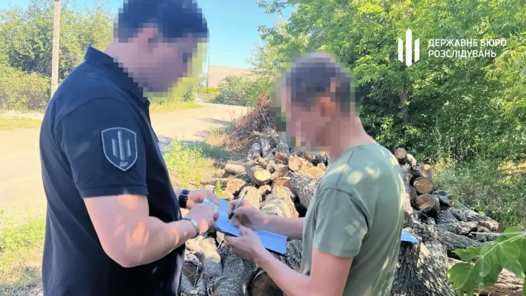 Головного лісничого з Кіровоградщини підозрюють у масштабних незаконних вирубках