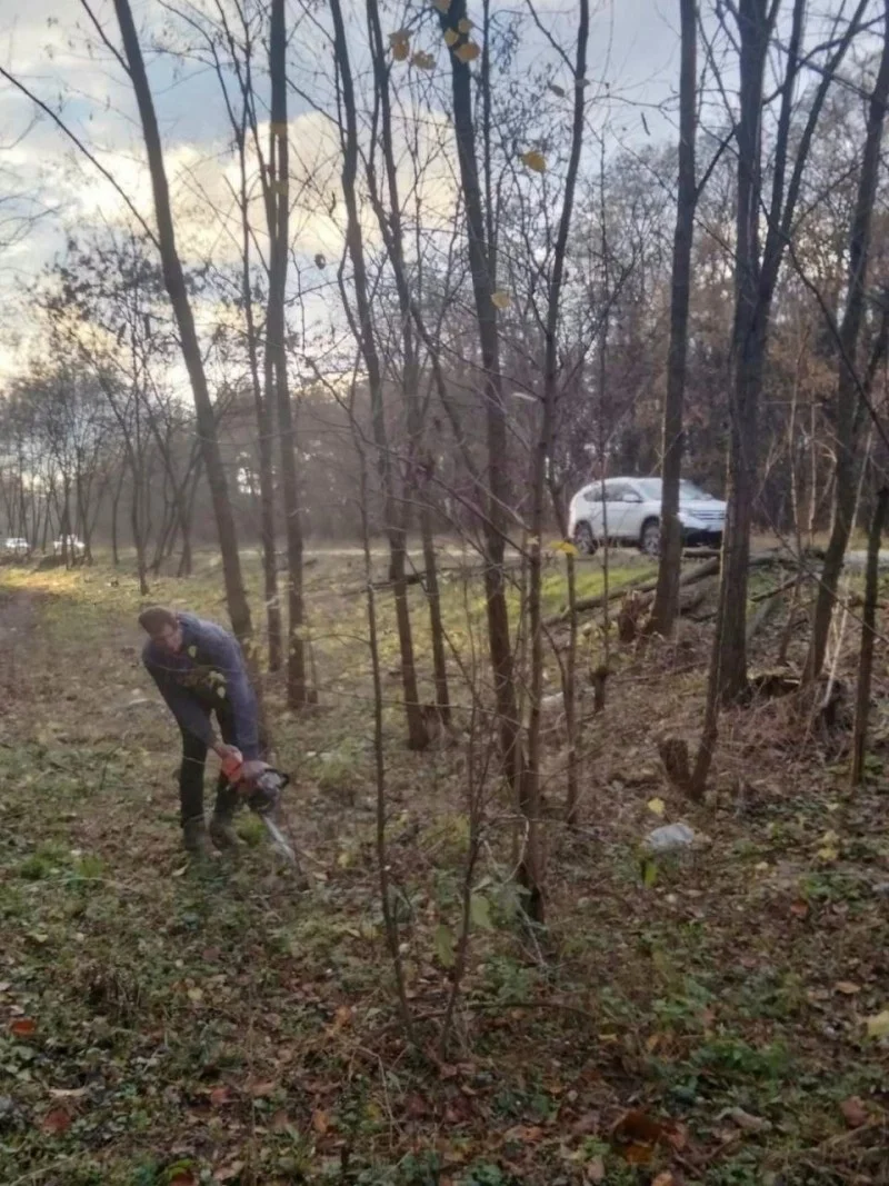 У Світловодську розпочали очищення вулиць від порослі для безпечного руху