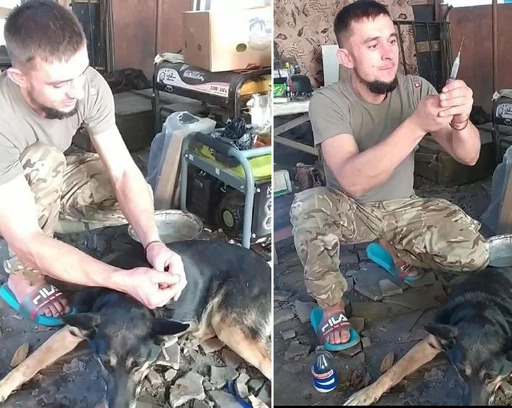 Ветеран з Кіровоградщини повернувся з фронту і відкрив власну ветеринарну клініку