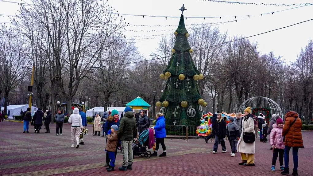 У Кропивницькому в Дендропарку засвітили новорічну ялинку