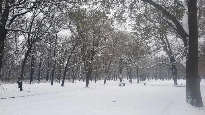 Кропивницький під сніговою завісою: очікуються хуртовини та ожеледиця
