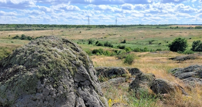 Кіровоградські громади першими в Україні захистили пасовища через заповідання