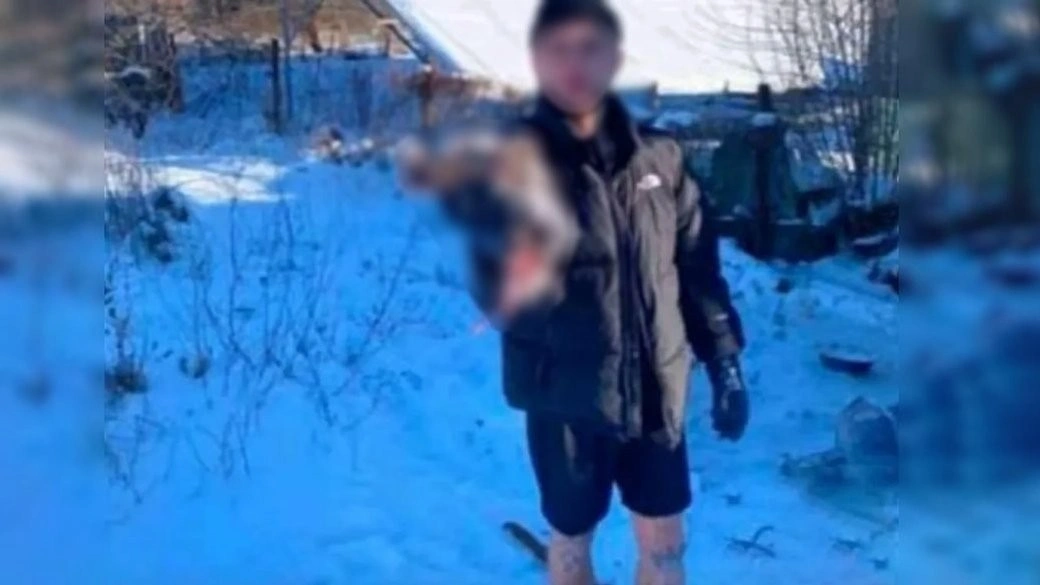 На Кіровоградщині суд взяв під варту чоловіка за жорстоке вбивство собаки