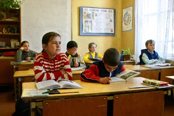 Освітній апгрейд у Кропивницькому: ліцей «Європейська освіта» готує пілотний запуск 12-річки