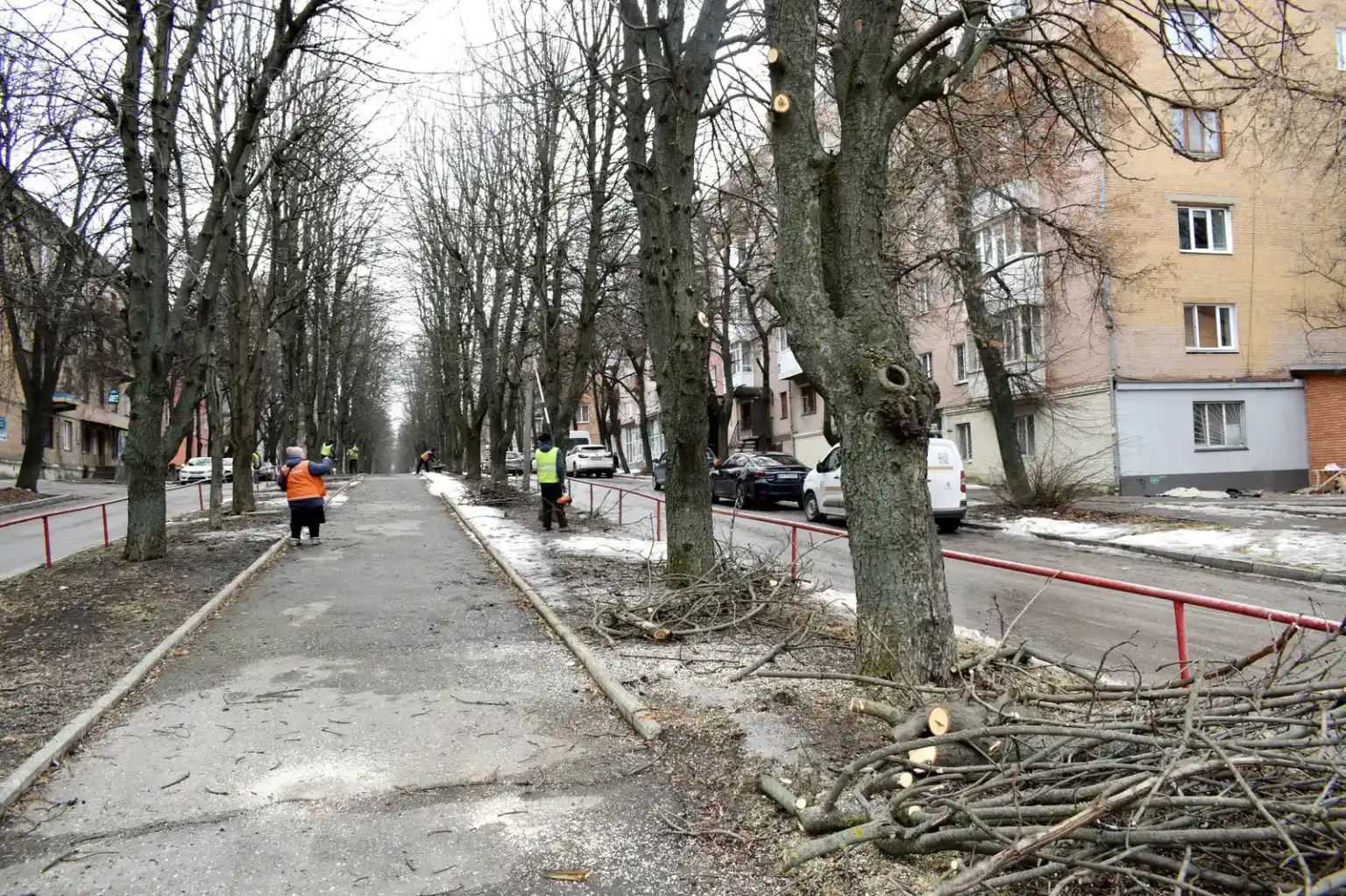 Трансформація Студентського бульвару: у Кропивницькому стартували роботи над Алеєю пам’яті