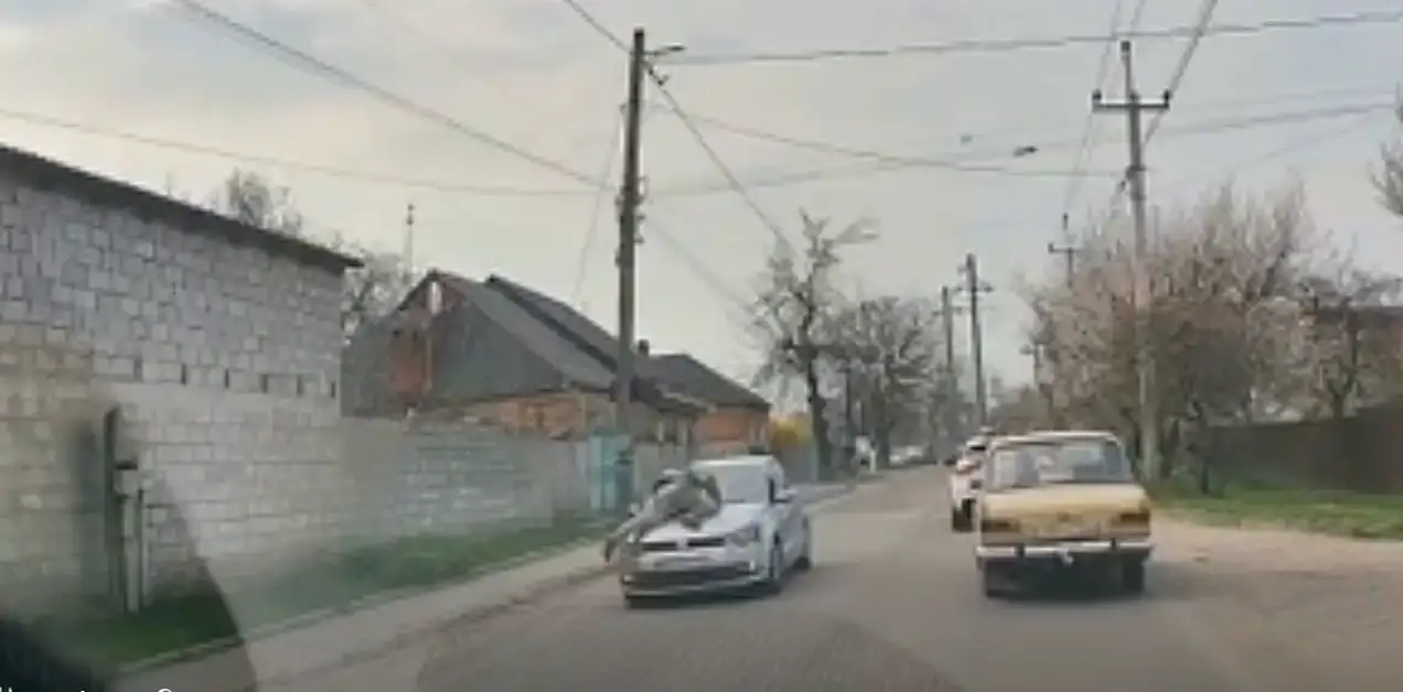 Екстремальна втеча у Кропивницькому: водій прокотив військового на капоті