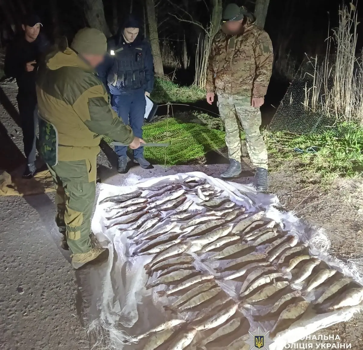 Понад 70 судаків і «павуки» у воді – на Кіровоградщині викрили масштабний незаконний вилов