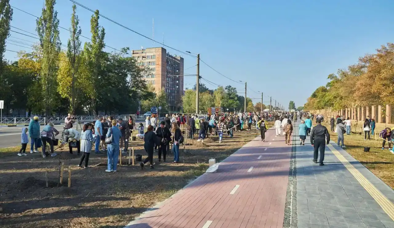 На Алеї Героїв у Кропивницькому невідомі зламали меморіальне дерево – поліція розпочала перевірку
